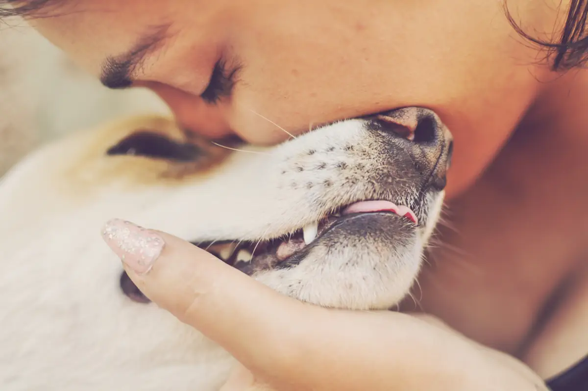 El vinculo emocional entre un perro y su humano es inquebrantable
