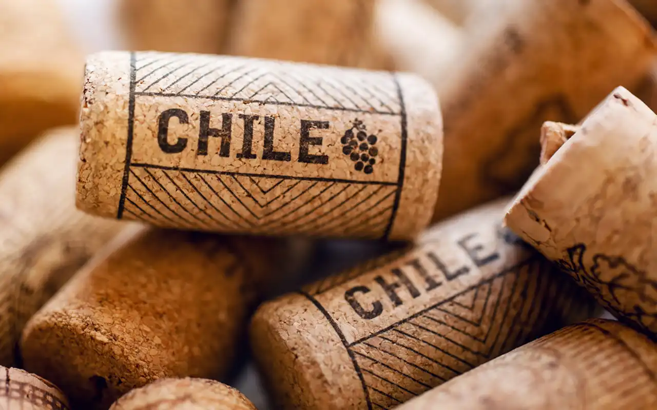 El Vino en Chile El secreto mundial con sabor y calidad.
